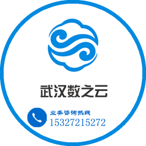 武汉数之云网络科技有限公司